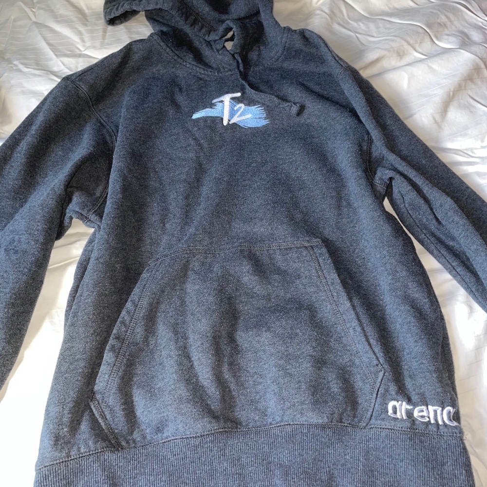 T2 sweatshirt hoodie gray